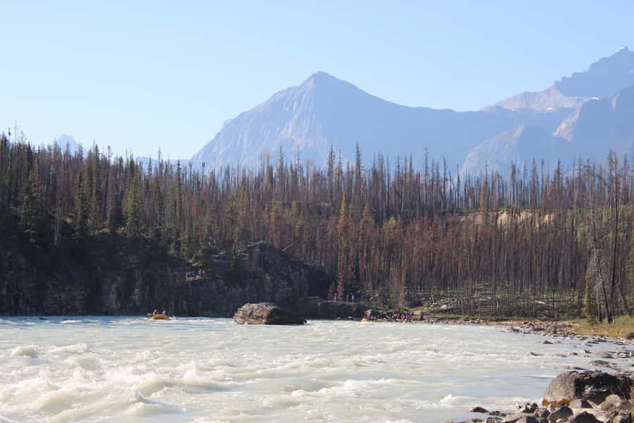 Athabasca Falls: Class 2 White Water Rafting Adventure - Who should book, and who should skip Athabasca Falls