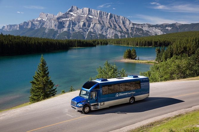 Athabasca Glacier Snow Trip from Banff - Price and value: what $291.17 gets you