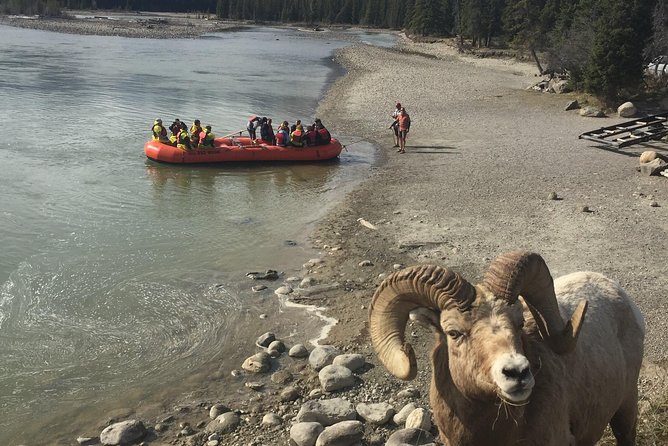Athabasca River Easy Scenic Raft Trip - Meeting at 607 Connaught Dr, and how the day feels