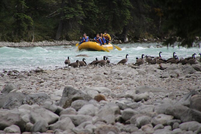 Athabasca River Mile 5 - Photos you can buy, and how to keep your phone safe