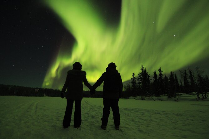 Aurora Hunting Tours - Who Should Book This Aurora Hunting Tour, and Who Might Want a Different Style