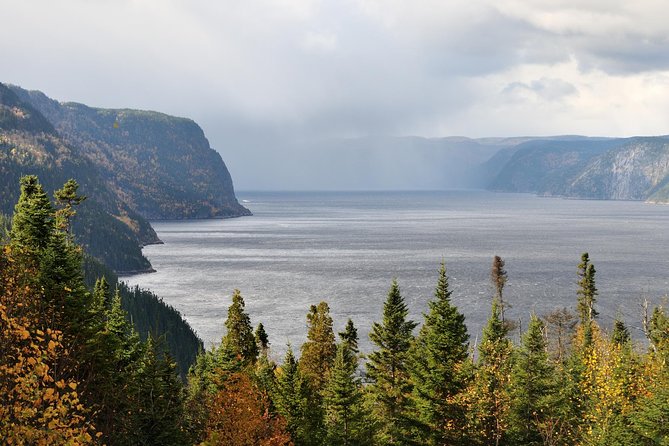 Back Country of the Fjord and the National Park - Getting started in La Baie: meeting point and what to expect