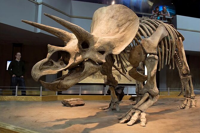 Badlands Tour: Drumheller with Museum, Hoodoos & Dinosaurs - Hoodoos Trail: walking through mushroom rock