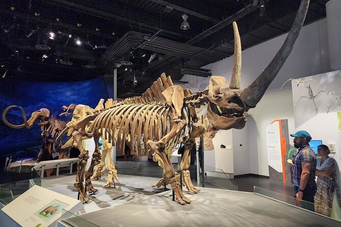 Badlands Tour: Drumheller with Museum, Hoodoos & Dinosaurs - Wayne’s bridges and Last Chance Saloon for western flavor