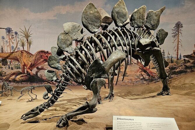 Badlands Tour: Drumheller with Museum, Hoodoos & Dinosaurs - Price and logistics: is $113 good value?