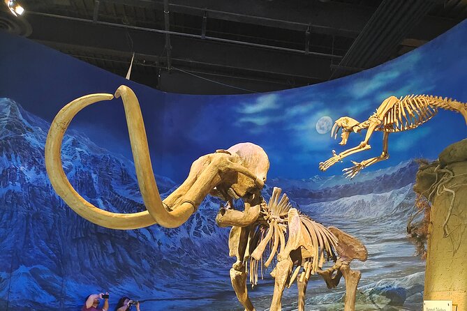 Badlands Tour: Drumheller with Museum, Hoodoos & Dinosaurs - Who this tour suits best
