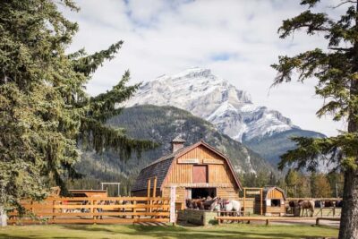 3-Hour Bow Valley Loop Horseback Ride