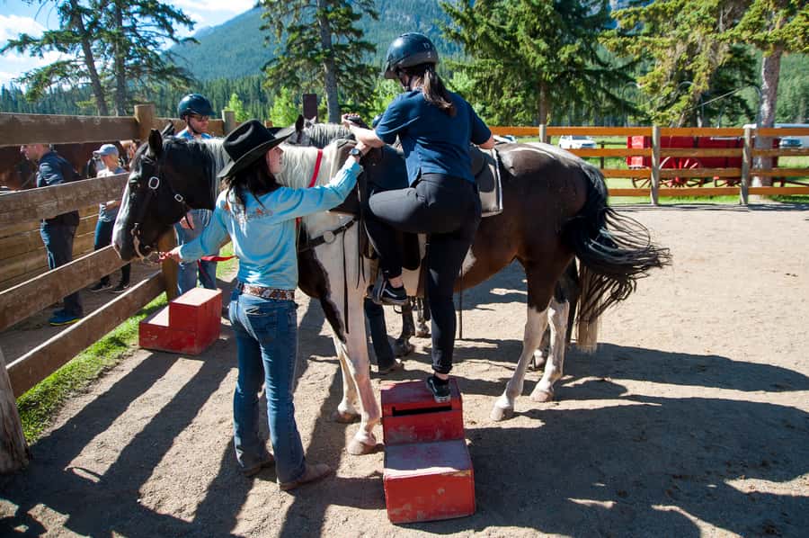 Banff: 3-Hour Bow Valley Loop Horseback Ride - Sundance Canyon Trail: the wildlife-rich forest where you should slow your eyes