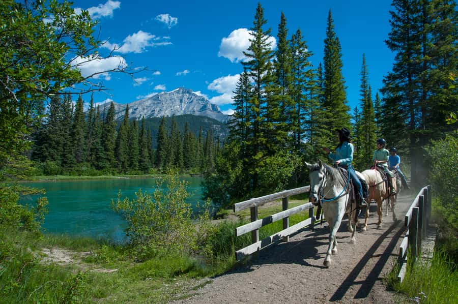 Banff: 3-Hour Bow Valley Loop Horseback Ride - Price and value: is $208 worth it for your kind of trip?