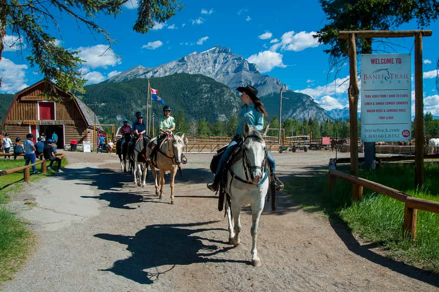 Banff: 3-Hour Bow Valley Loop Horseback Ride - Who this horseback loop is best for