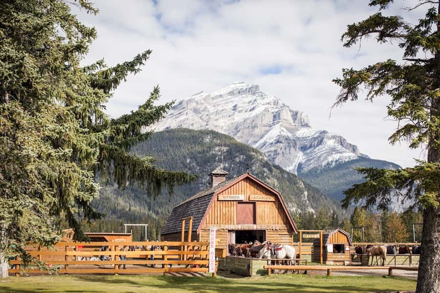Banff: 3-Hour Bow Valley Loop Horseback Ride - Bow Valley loop: meadows, Bow River moments, and a steady trail pace