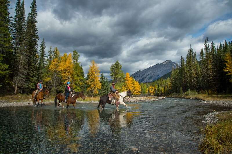 Banff: 4-Hour Sulphur Mountain Intermediate Horseback Ride - How the ride is guided, with lead and tail support