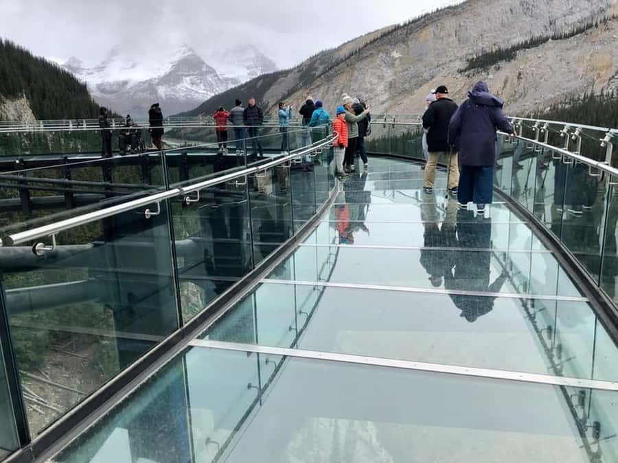 Banff and Jasper National Parks Tour and Glacier Adventure - Crowfoot Glacier Viewpoint, Bow Lake Break, and Photo Timing