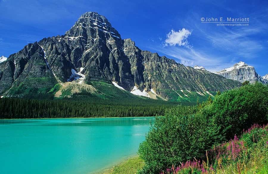 Banff and Jasper National Parks Tour and Glacier Adventure - Peyto Lake: The Wolf-Head Viewpoint That Actually Feels Fast and Worth It