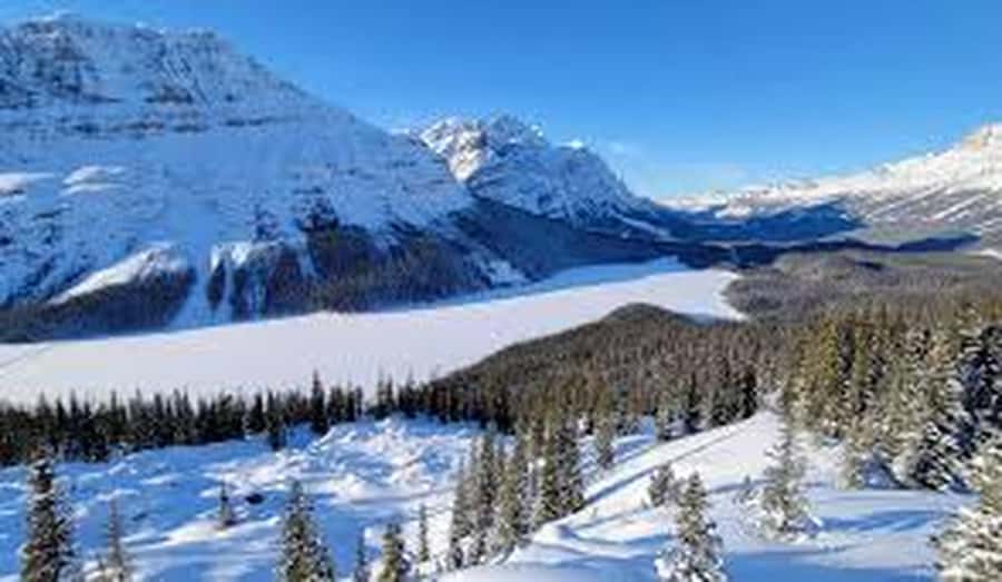 Banff and Jasper National Parks Tour and Glacier Adventure - Columbia Icefield, Ice Explorer, and Skywalk: The Big Finale