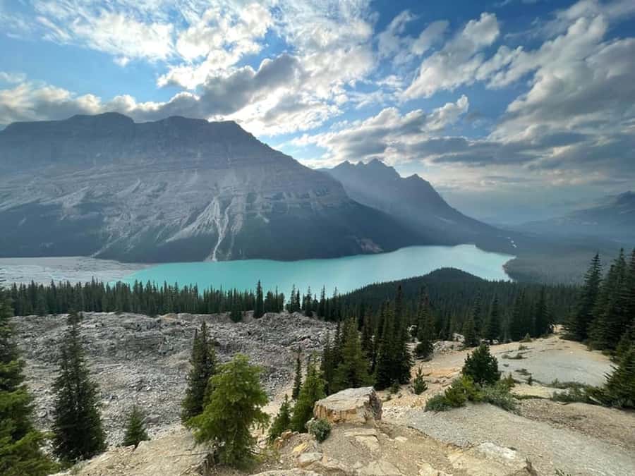 Banff and Jasper National Parks Tour and Glacier Adventure - Pickup, Seats, and How to Plan Your Morning