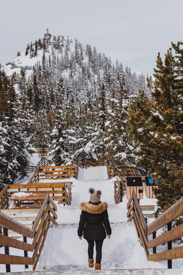 Banff: Banff Town, Gondola, and Canyon Day Tour - Sulphur Mountain Gondola: The Best Payoff Per Minute