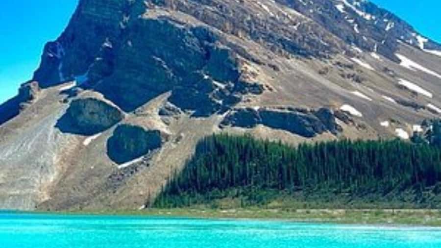 Banff/Calgary/Canmore: Crowfoot Glacier, 5 Lakes & Canyon - Price and Value at Around $43: What You Get for the Money