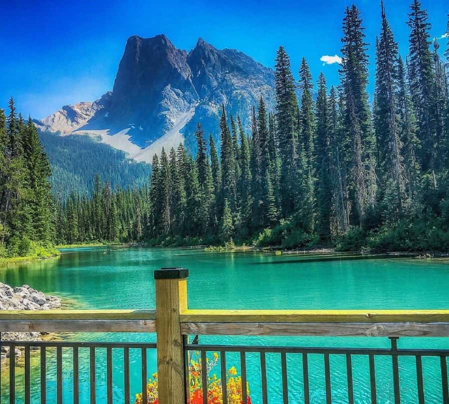 Banff/Calgary:Lake Louise,Moraine Lake,Emerald Lake Day Tour - Pickup Points, Drive Time, and How to Read the Schedule