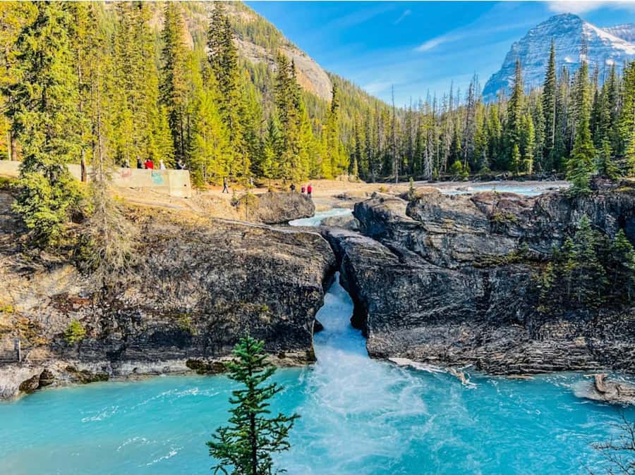 Banff/Calgary: Louise, Moraine/Bow, Emerald & Peyto 4 Lakes - Moraine Lake in summer, Bow Lake in winter: how the tour handles seasonal access