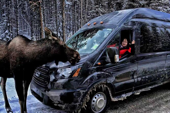 Banff/Canmore: Moraine Lake and Lake Louise Shuttle-90m each lake - Comfort, Bus Size, and the Little Things That Matter