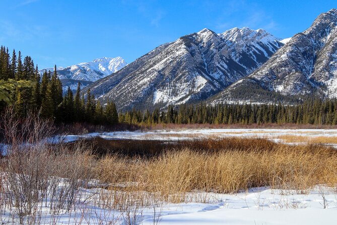 Banff Cave & Hot Springs Audio Walking Tour (Not a Ticket) - Bow River section: easy walking, big views, and one dirty practical note