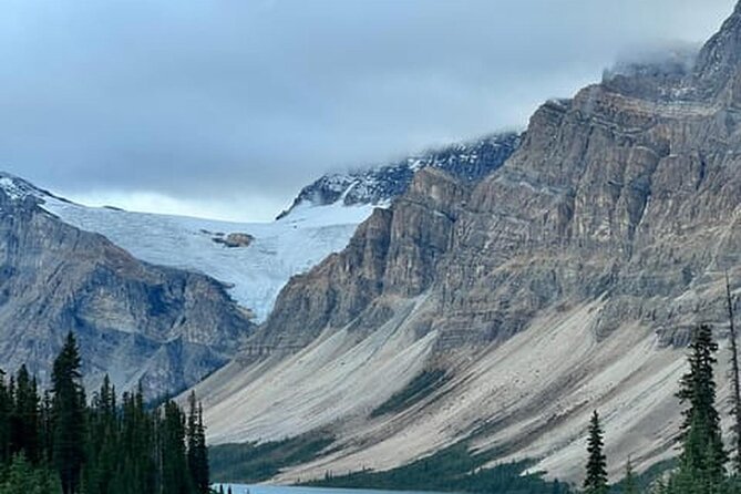 Banff:Columbia Icefield Adventures, Skywalk and Iconic Lakes Tour - Peyto Lake: the wolf-head view, and why the viewpoint matters