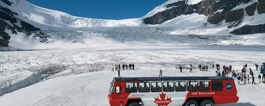 Banff:Crowfoot Glacier, 4 Lakes and Johnston Canyon tour - Key highlights you should care about