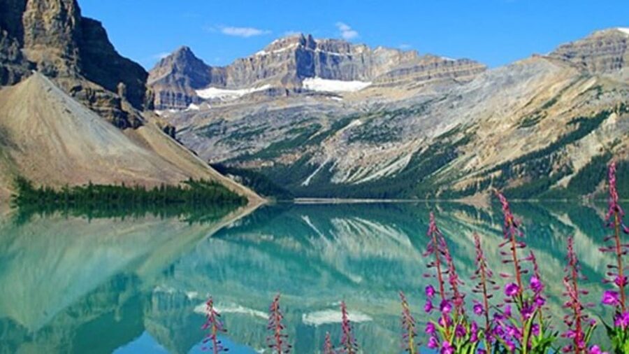 Banff:Crowfoot Glacier, 4 Lakes and Johnston Canyon tour - Price and Value: Why a $43 Full-Day Can Make Sense
