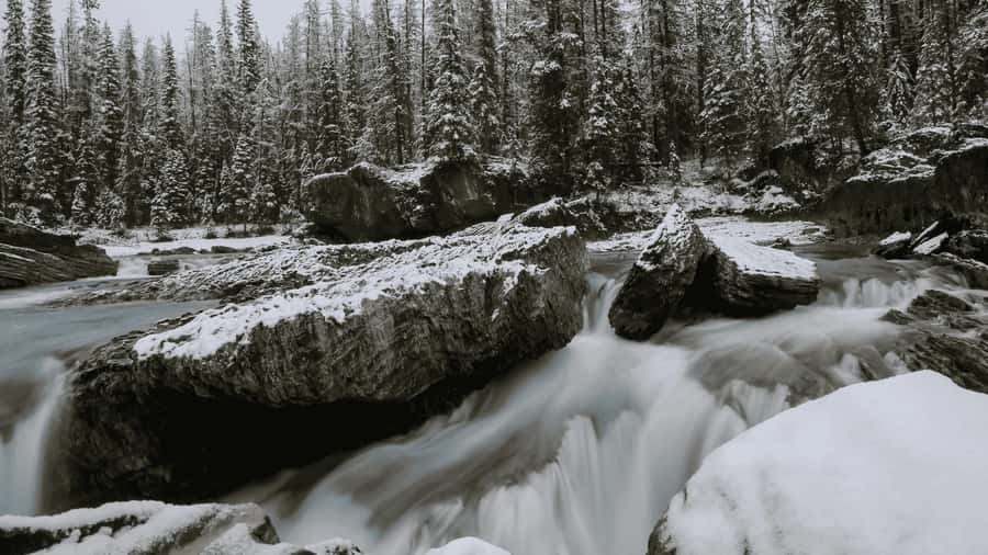 Banff Day Trip - Lake Louise, Moraine Lake, & Emerald Lake - Moraine Lake in season, or Marble Canyon when the calendar changes