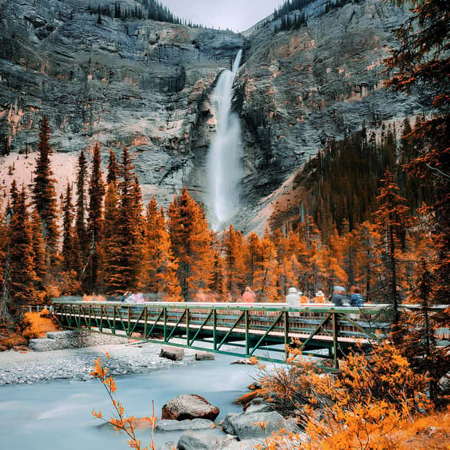 Banff: Emerald Lake, Wapta Falls & Takakkaw Falls Day Trip - Why this Yoho National Park day trip feels efficient