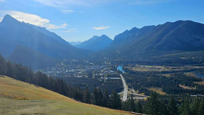 Banff: Evening Wildlife Safari Guided Tour - Evening Safari in Banff at Dusk, Where Soft Light Meets Wildlife Behavior