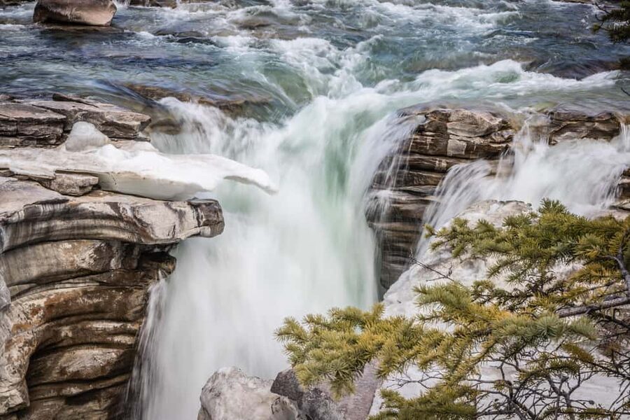 Banff: Explore Banff & Jasper National Parks (4-Days) - Key things that make this tour worth your time