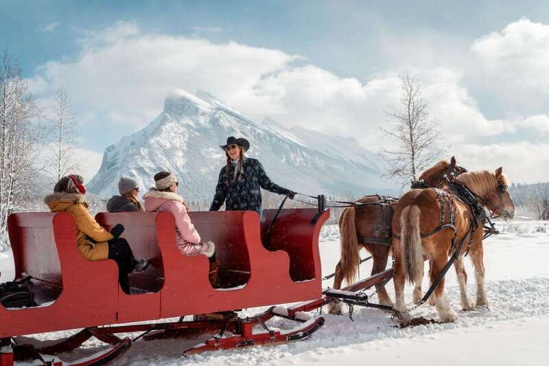Banff: Family Friendly Horse-Drawn Sleigh Ride - Key points to know before you go