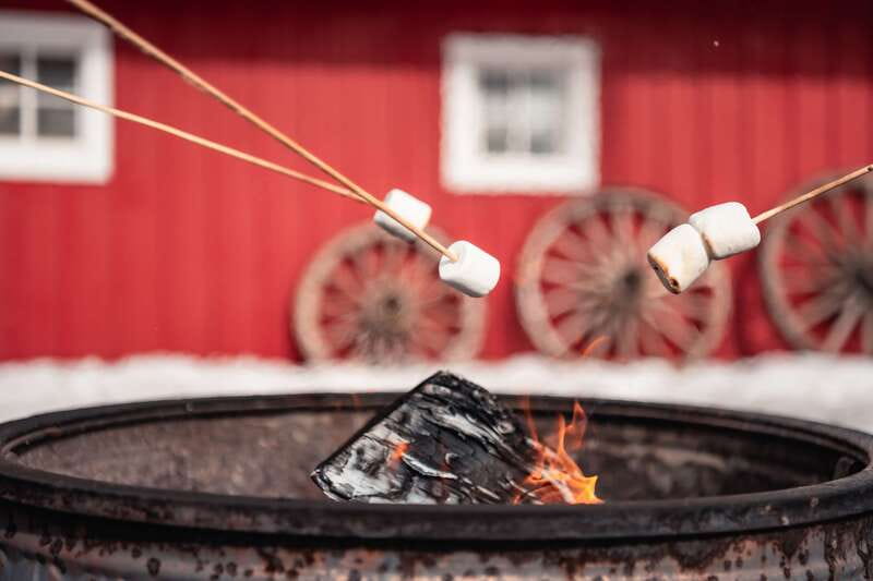 Banff: Family Friendly Horse-Drawn Sleigh Ride - Practical tips that make the ride more comfortable
