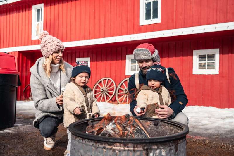 Banff: Family Friendly Horse-Drawn Sleigh Ride - Banff Horse-Drawn Sleigh Ride: what makes it such an easy family win