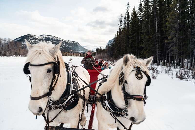 Banff: Family Friendly Horse-Drawn Sleigh Ride - Weather and snow reality: when sleighs switch to wagons