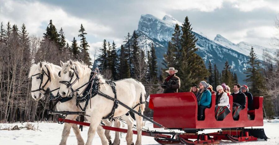 Banff: Family Friendly Horse-Drawn Sleigh Ride - Price and value: is $39 per person worth it?