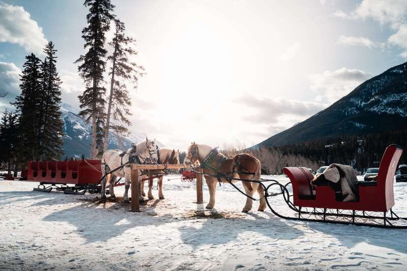 Banff: Family Friendly Horse-Drawn Sleigh Ride - Who should book this ride, and who might want something else