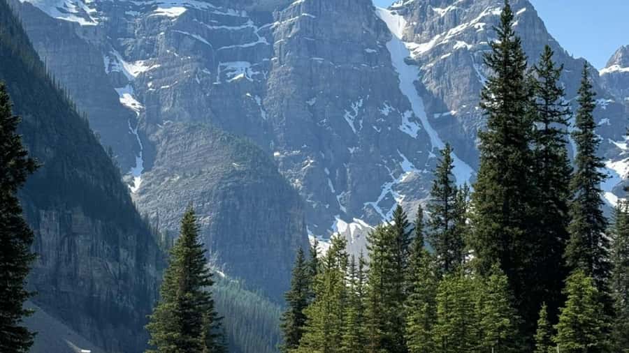 Banff: Gondola, Hot Springs, Bow falls & Three Lakes Tour - Banff Avenue free time: shops, galleries, and a real town pause