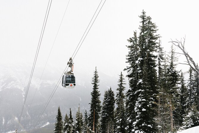 Banff Gondola & Lake Minnewanka Cruise Combo - Sulphur Mountain by Gondola: The Ride, the Safety Feel, the Views