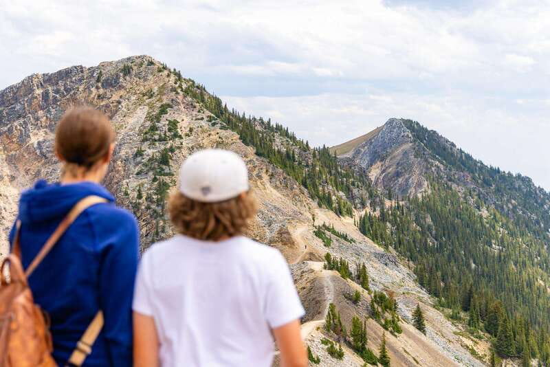 Banff: Grizzly Bear Refuge Tour with Lunch - Purcell Mountains gondola: the best way to see height without the hassle