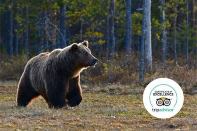Banff Highlights & Wildlife | Award-Winning Small Group Adventure