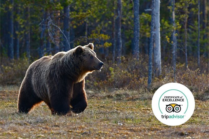 Banff Highlights & Wildlife | Award-Winning Small Group Adventure - The Small-Group Size (Max 12) Changes Everything