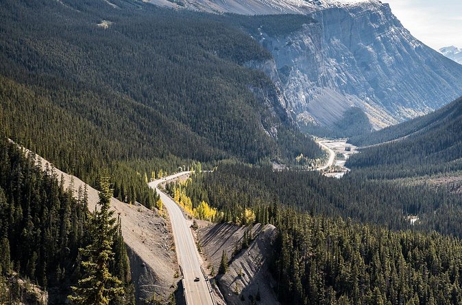 Banff Icefield Parkway Private Full Day Tour - Peyto Lake: the famous viewpoint and the 1.4 km walk