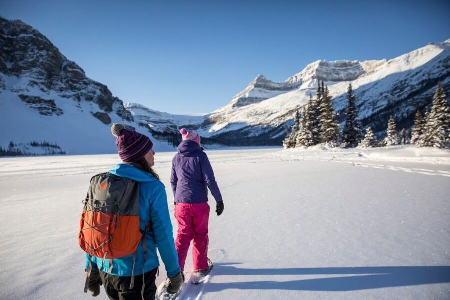 Banff: Icefields Parkway & Abraham Lake Ice Bubbles Tour - Key highlights you will actually notice