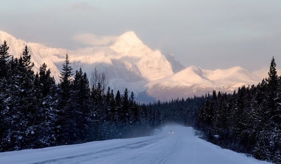 Banff: Icefields Parkway & Abraham Lake Ice Bubbles Tour - Why Ice Bubbles and Peyto Snow Make This a Full-Value Day