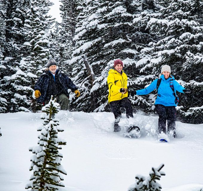 Banff/Jasper: Canadian Rockies Helicopter & Snowshoe Tour - Timing From Banff or Lake Louise, Plus Icy Road Reality
