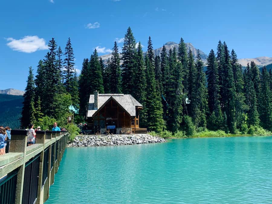 Banff: Lake Louise, Emerald, Marble Canyon and Yoho Tour - Natural Bridge (about 15 minutes): the quick stop that rewards attention