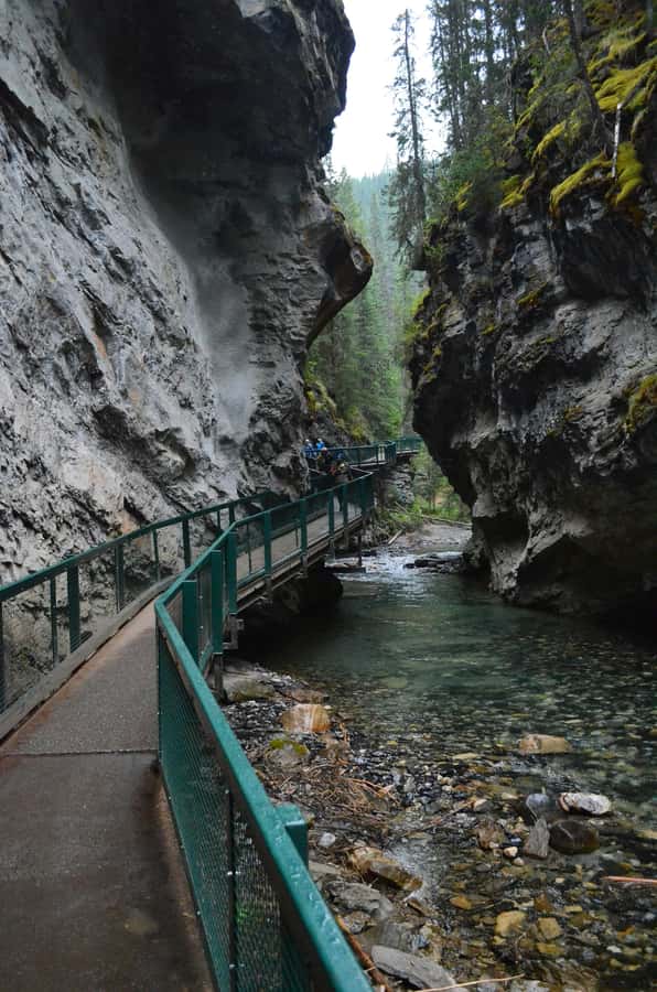Banff: Lake Louise,Lake Minnewanka,Emerald Lake & Banff Town - Lake Minnewanka and Two Jack Lake: Big Water, Wildlife Chances, and a Few Stories